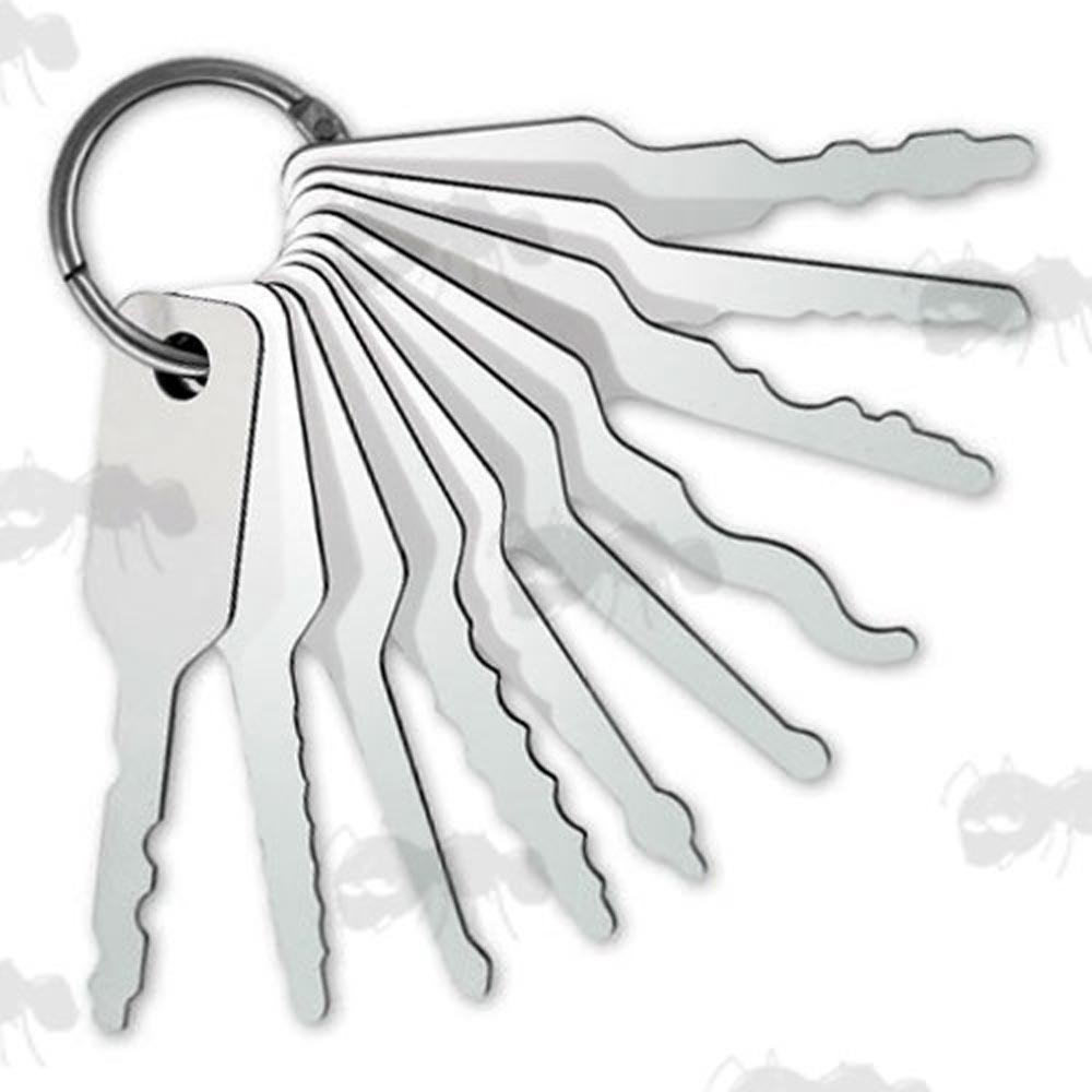 Ten Piece Jiggler Auto Lock Pick Set on Keyring