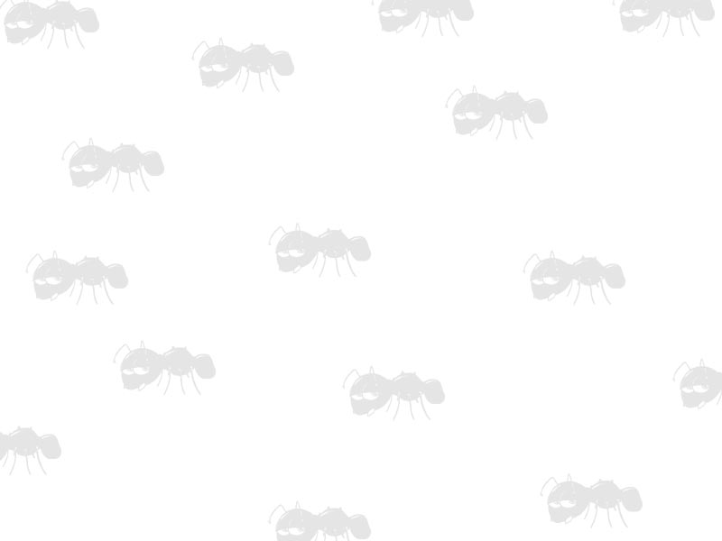 Black M14x1mm Left Hand Thread To 1/2x20 UNF Threaded Rifle Muzzle Adapter