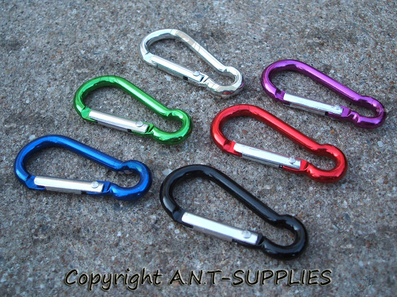 Five Assorted Colours Small Hiking Carabiners