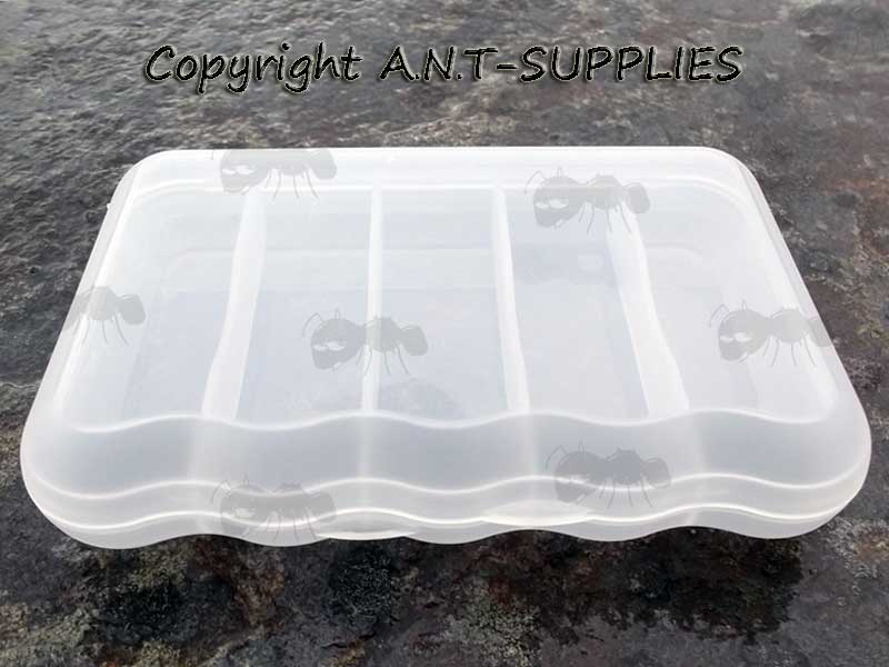 Closed View of The Five Compartment Clear Storage Case for Pistol Barrel Cleaning Swabs