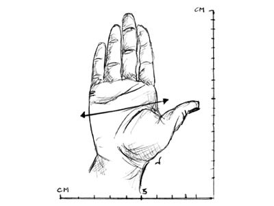 Drawing of a Hand with X and Y Axis