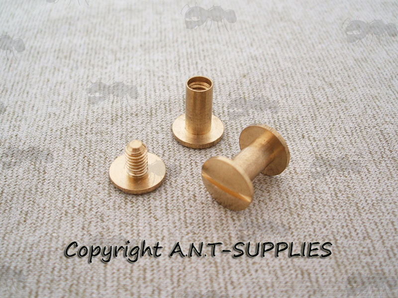 Two Pairs of Brass Chicago Screws