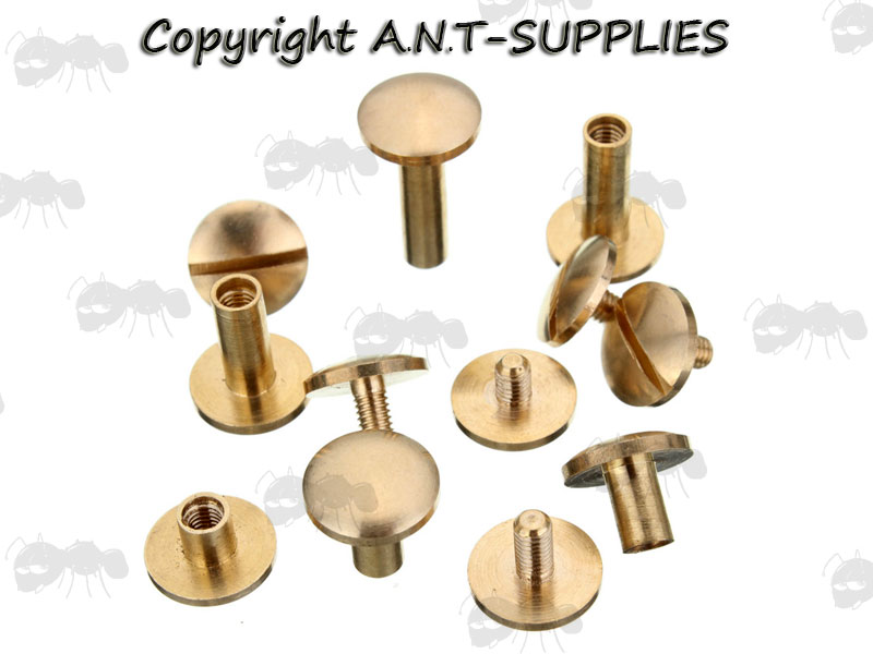 Six Brass Chicargo Studs with Domed Heads