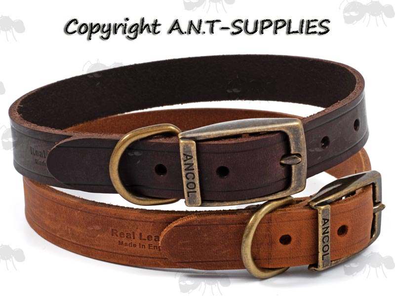 Ancol Latigo Leather Dog Collars In Chestnut and Havana Brown With Brass Ring and Buckles