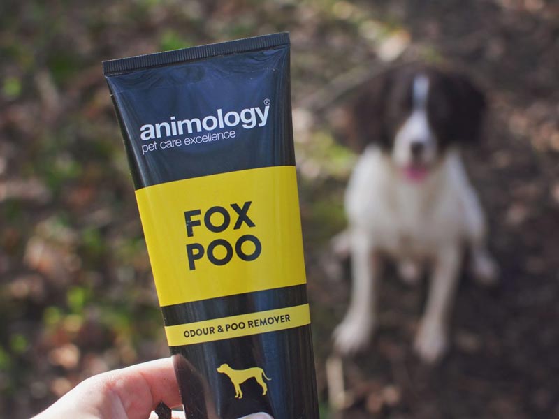 250ml Tube Of Animology Dog Cleaning Fox Poo Shampoo