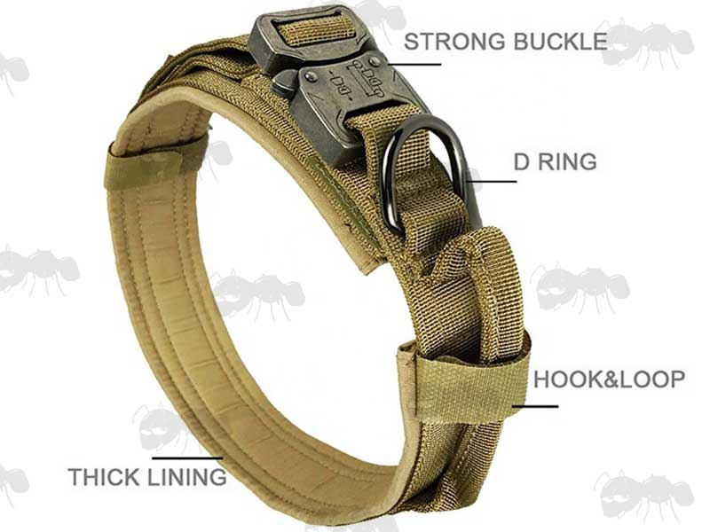 Tan Coloured Heavy-Duty Military Dog Collar with Feature Highlights