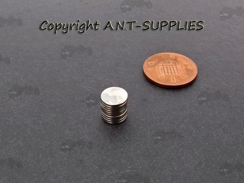 Ten 8mmx1mm Flat Disc Rare Earth Magnets